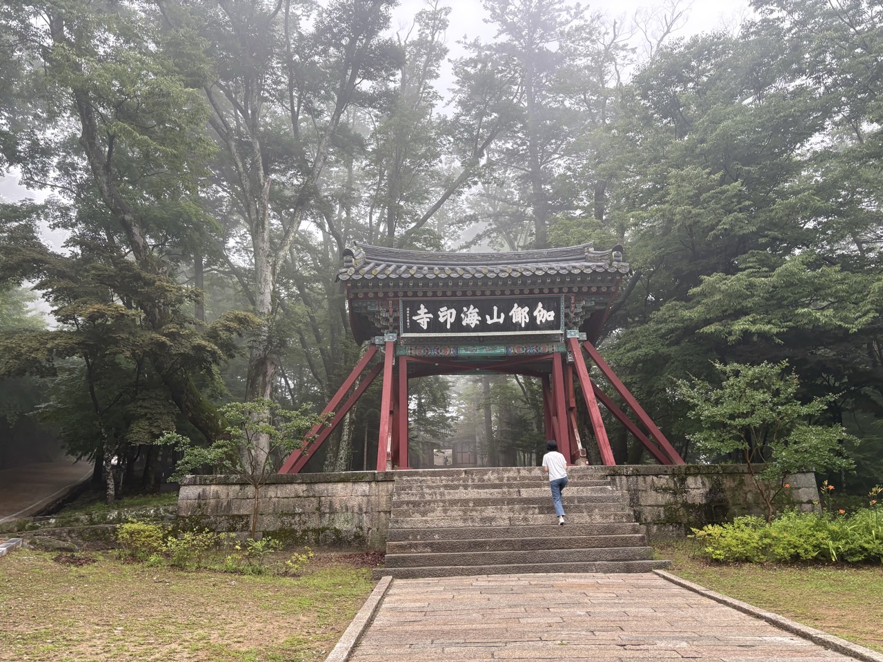 518790fd16b0c.jpg