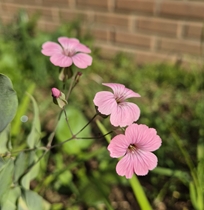 73659b46048e2.jpg