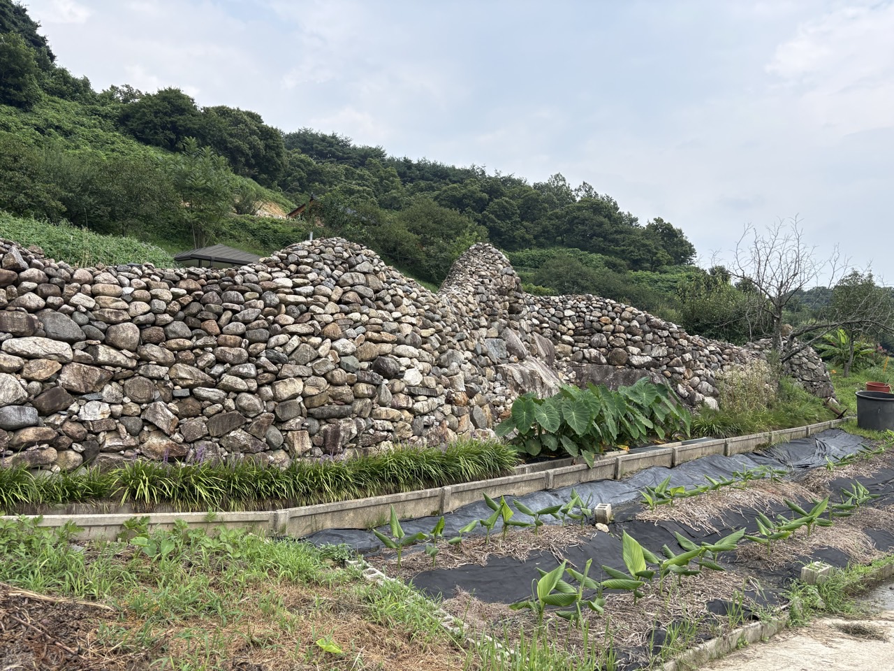 d4731e0608b7d.jpg