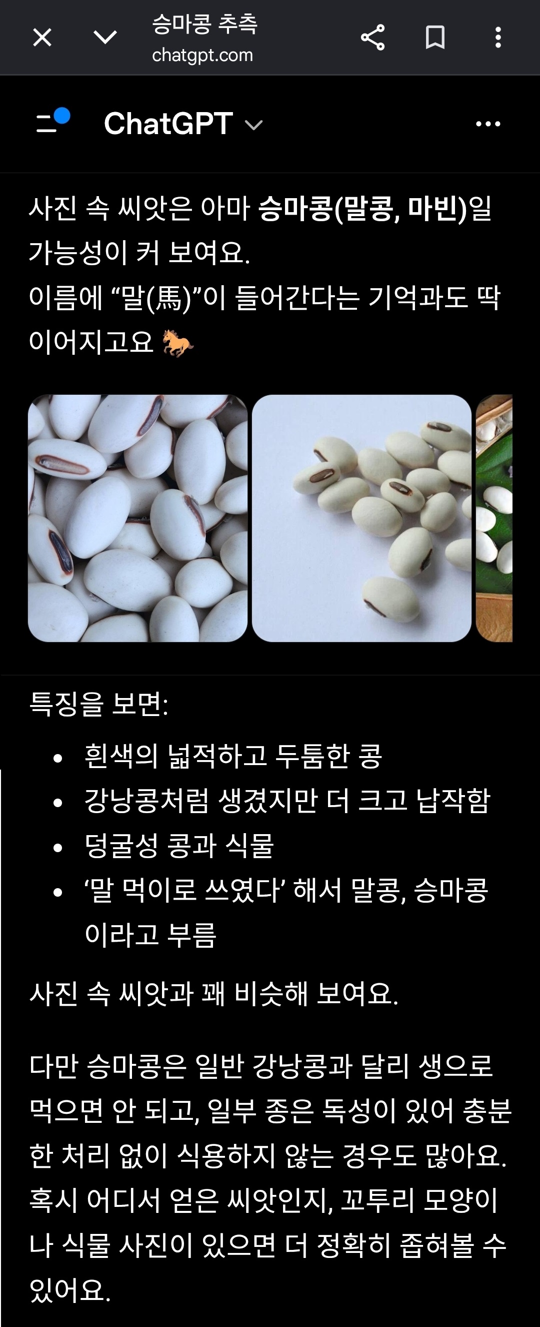 e2ccad90a4d5e.jpg