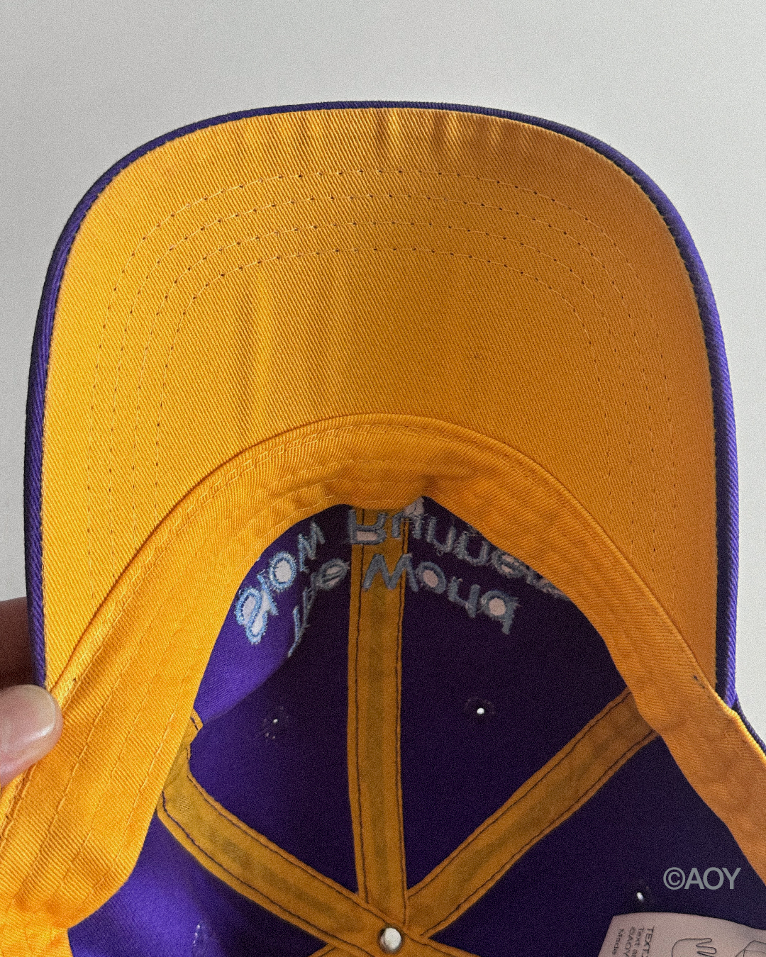 THE WORLD SLOW RUNNERS ASSOCIATION CAP IN GRAPE