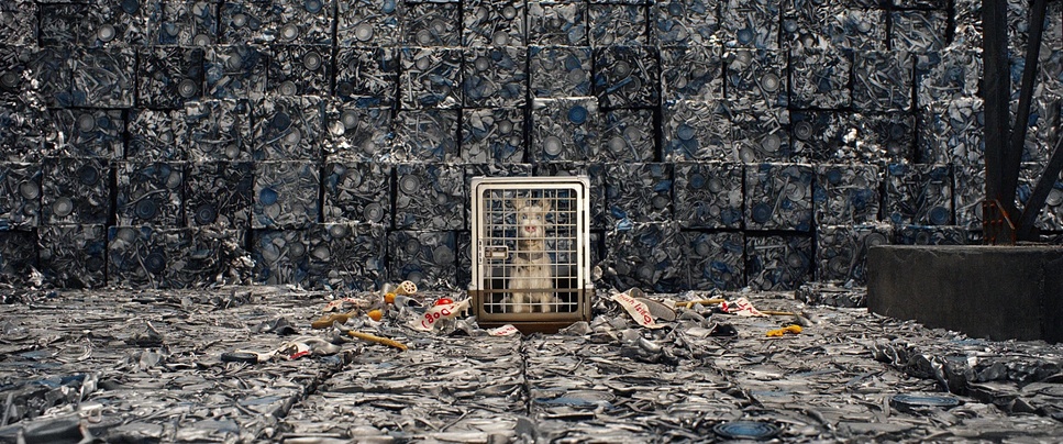8a87746ad0eab.jpg