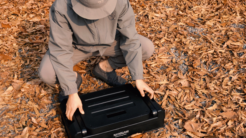 e43380fc967b9.gif