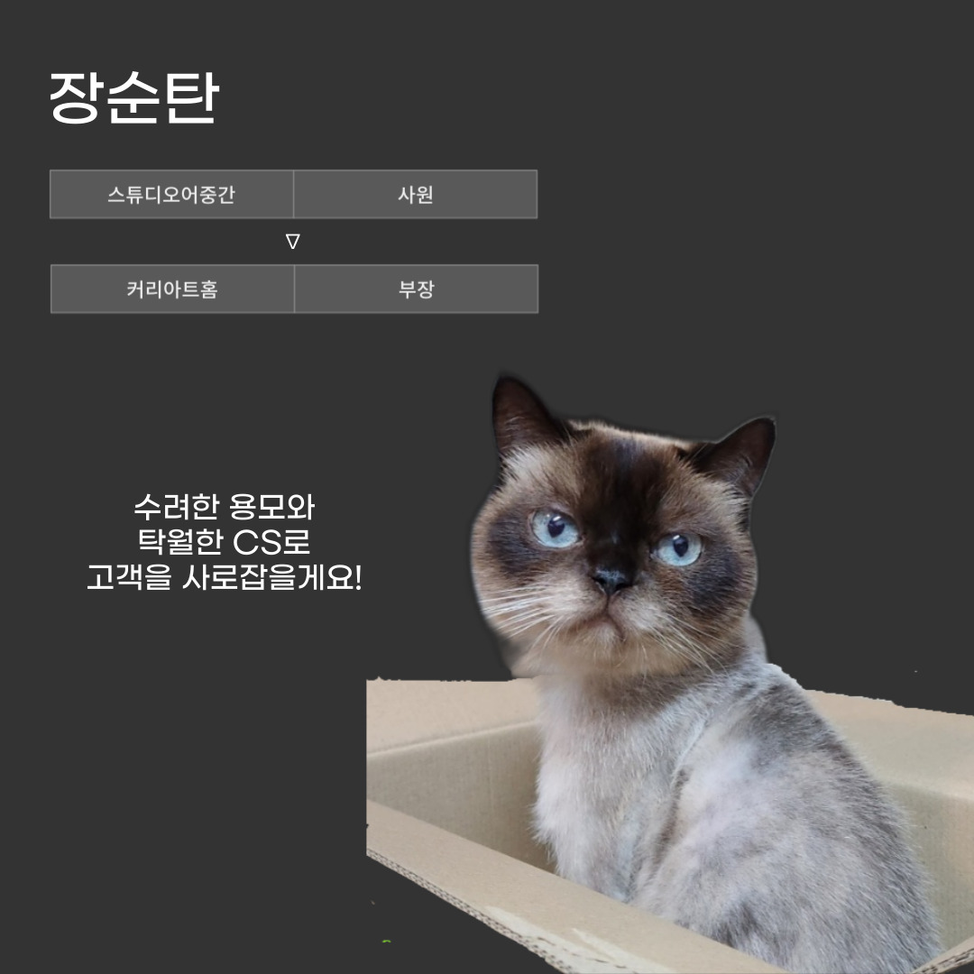 3d73b68ae923c.jpg