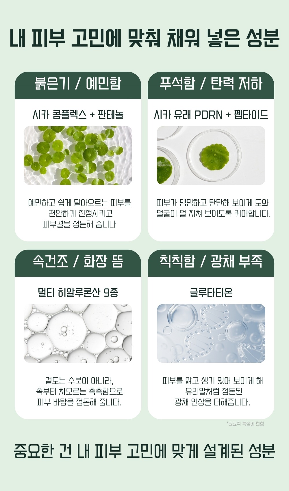 [2개] 시카 PDRN 플럼핑 진정 세럼 💜PDRN 탄력💜