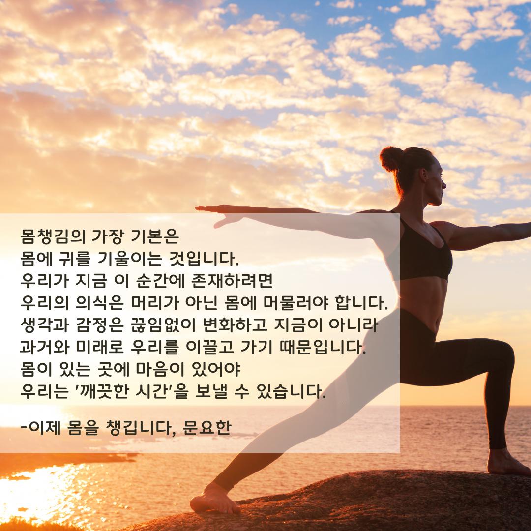 c5b61e39a6e5a.png