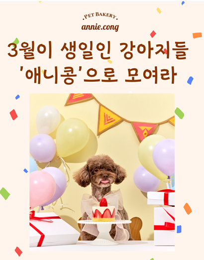 애니콩, 3월 생일 반려견 위한 ‘비타민 생일상’ 이벤트 진행 / 사진제공=애니콩