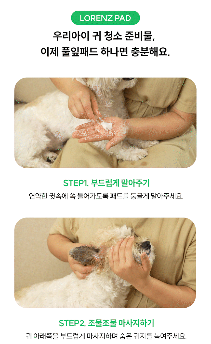 [사업자전용] 로렌츠 풀잎패드 40매