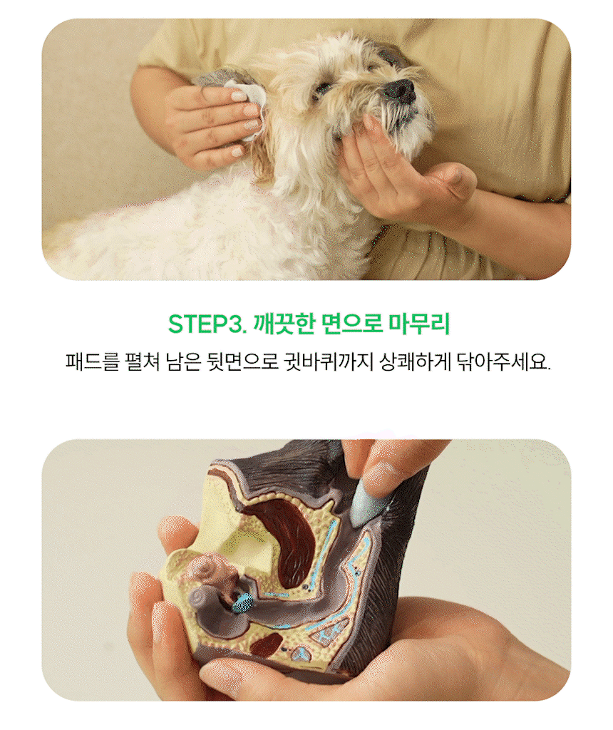 [사업자전용] 로렌츠 풀잎패드 40매