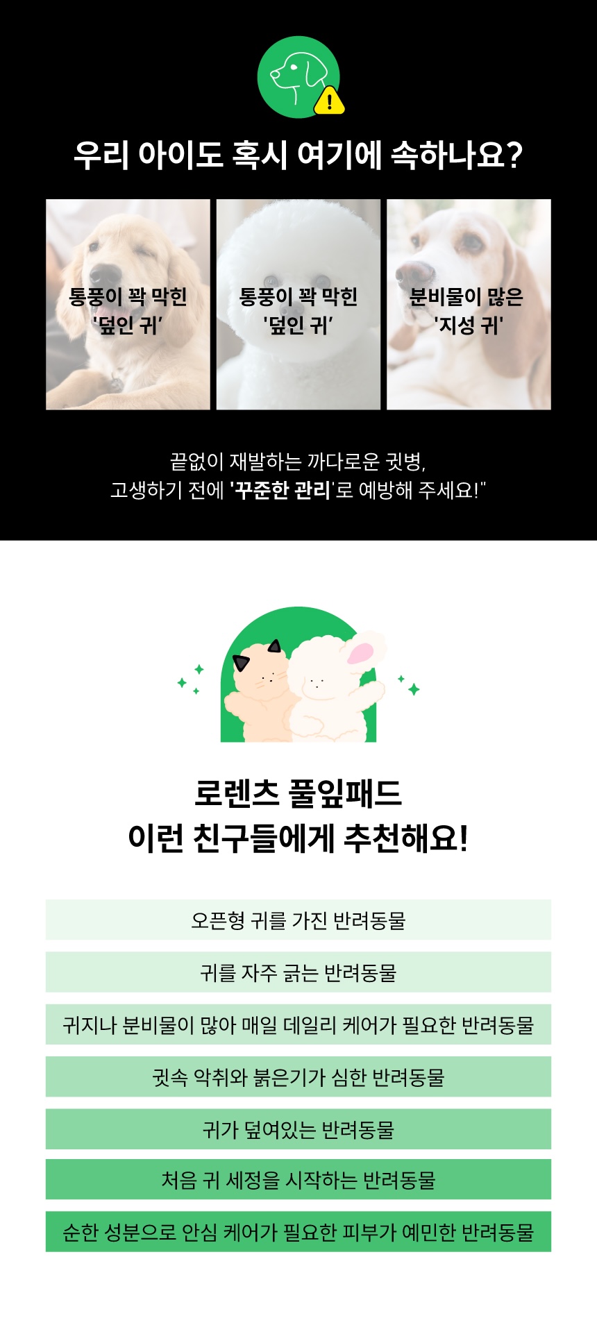 [사업자전용] 로렌츠 풀잎패드 40매