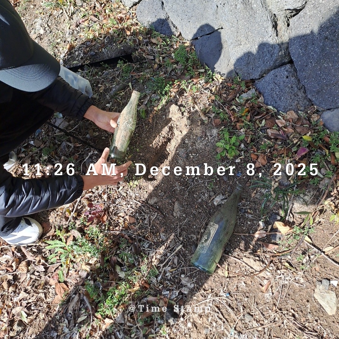12e6489fac9d4.jpg