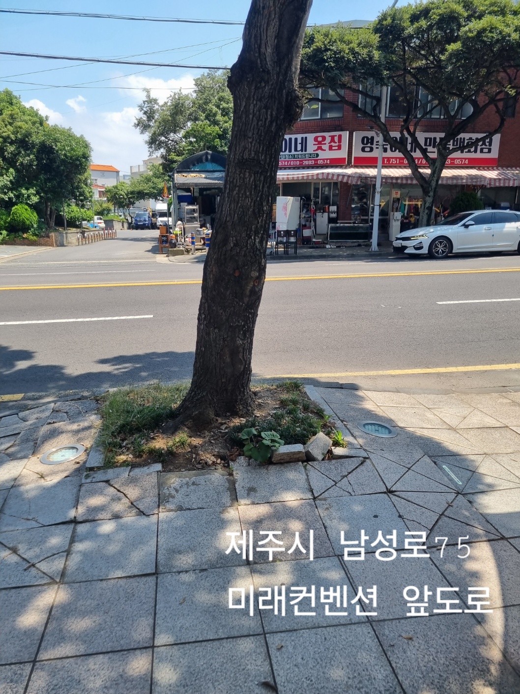 5848d5a682a50.jpg