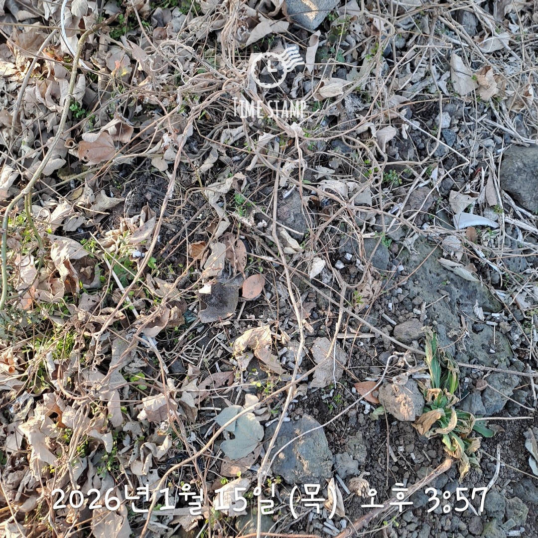 654dcbc771048.jpg