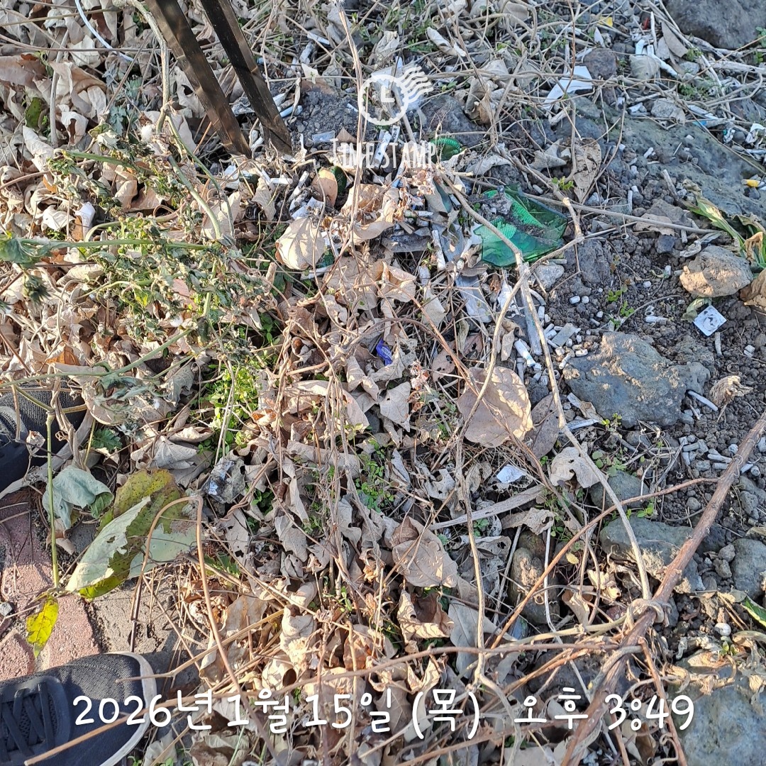 85994f6e58cbd.jpg