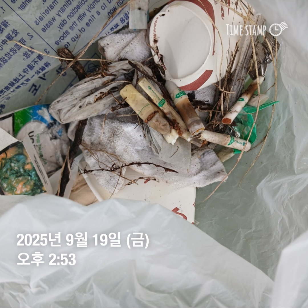 a00199d7ebd9e.png