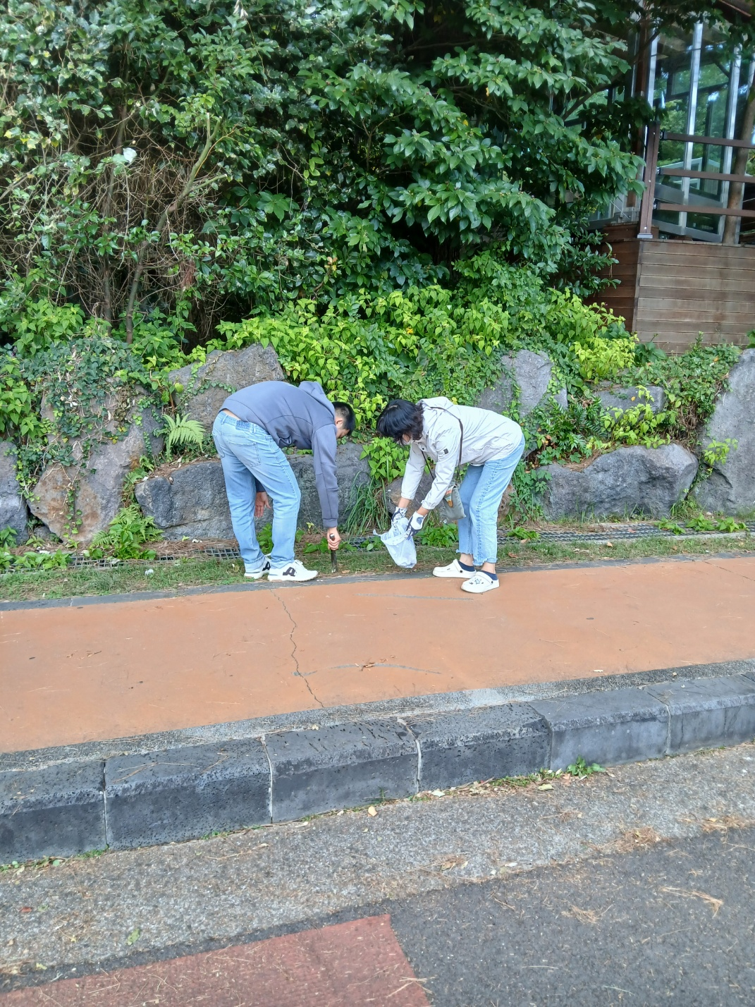 a279120c1e22d.png