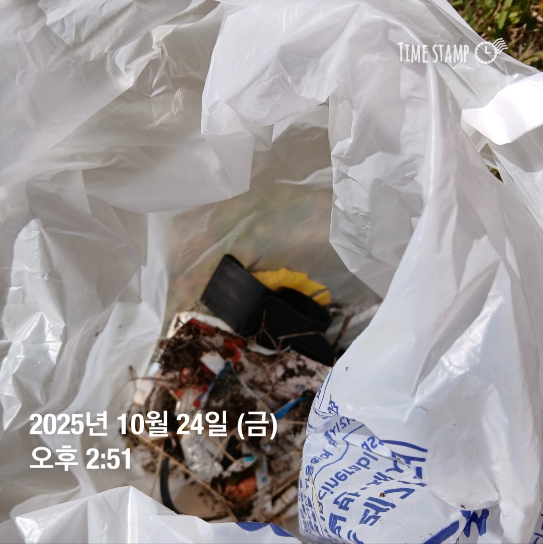 d5693f6046a8d.png