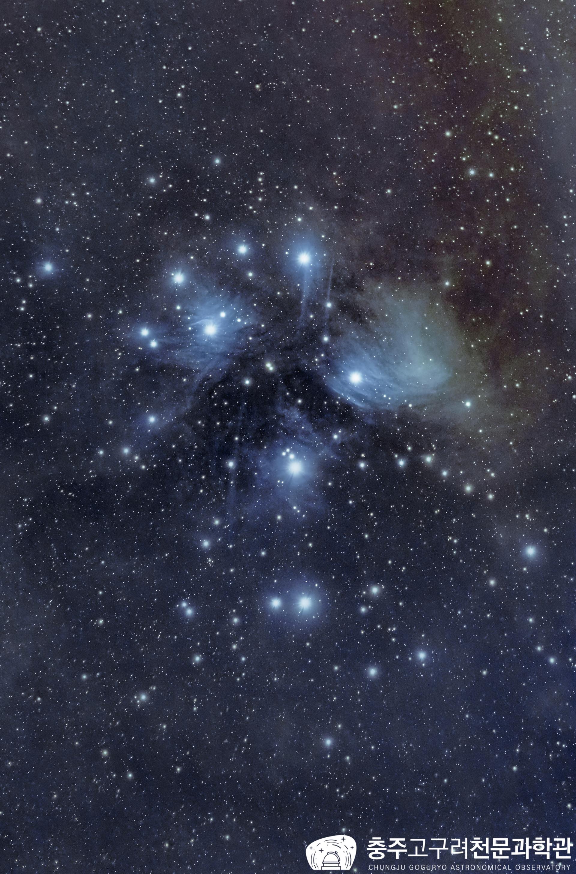 680c7b0131f8a.jpg