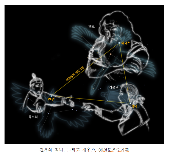 9773ee9b5e10f.png