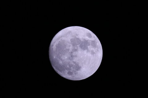 9a589108cf4f6.jpg