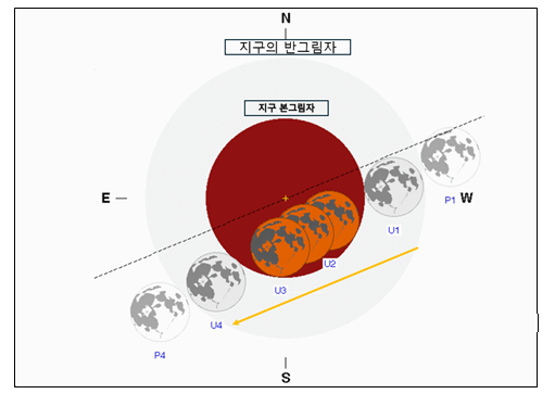 ee06d31cf3259.png