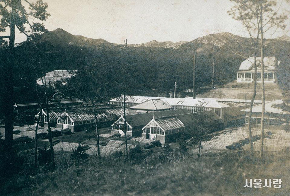 Kore'A first botanical garden in the area of Changgyeongung Palace 1909/1910. 