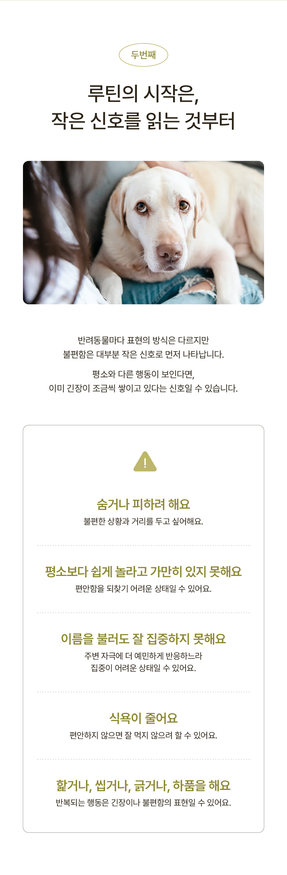 브리더 전용-PR 펫레미디 디퓨저 세트 (훈증기+용액)