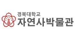 85bb663e8e8b6.png