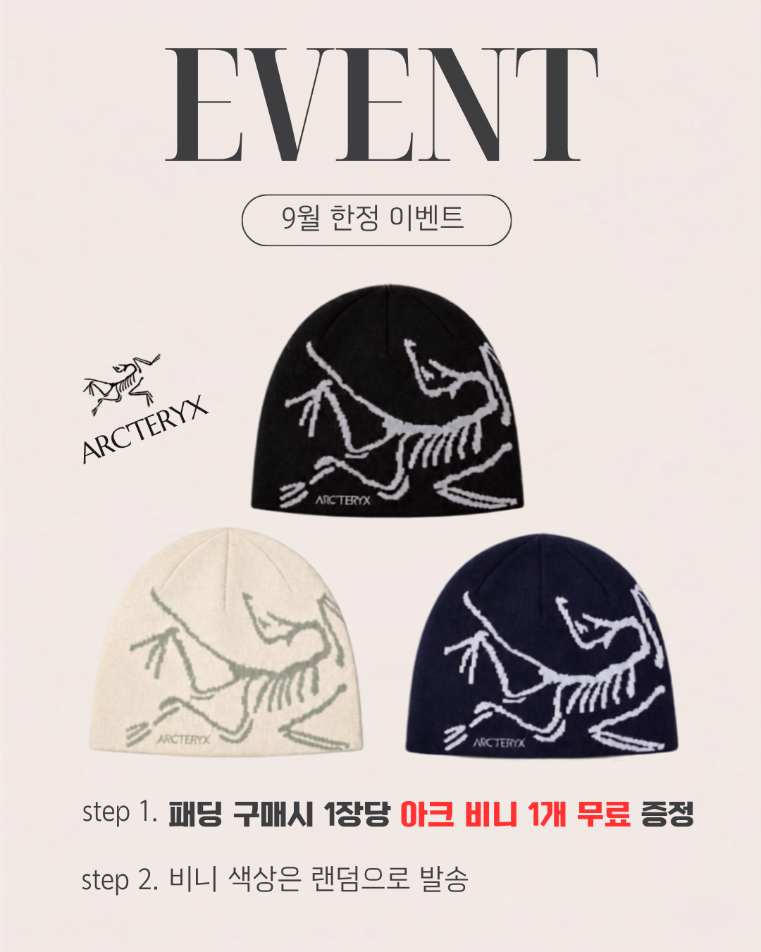 아크테릭스 세륨 패딩 2colors