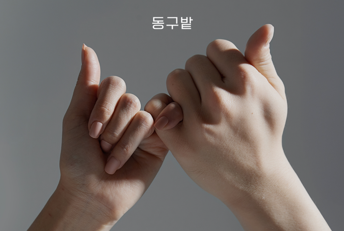 7db95d35e19b9.png
