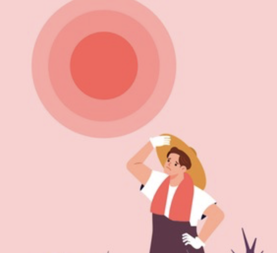 ef66b57c13946.png