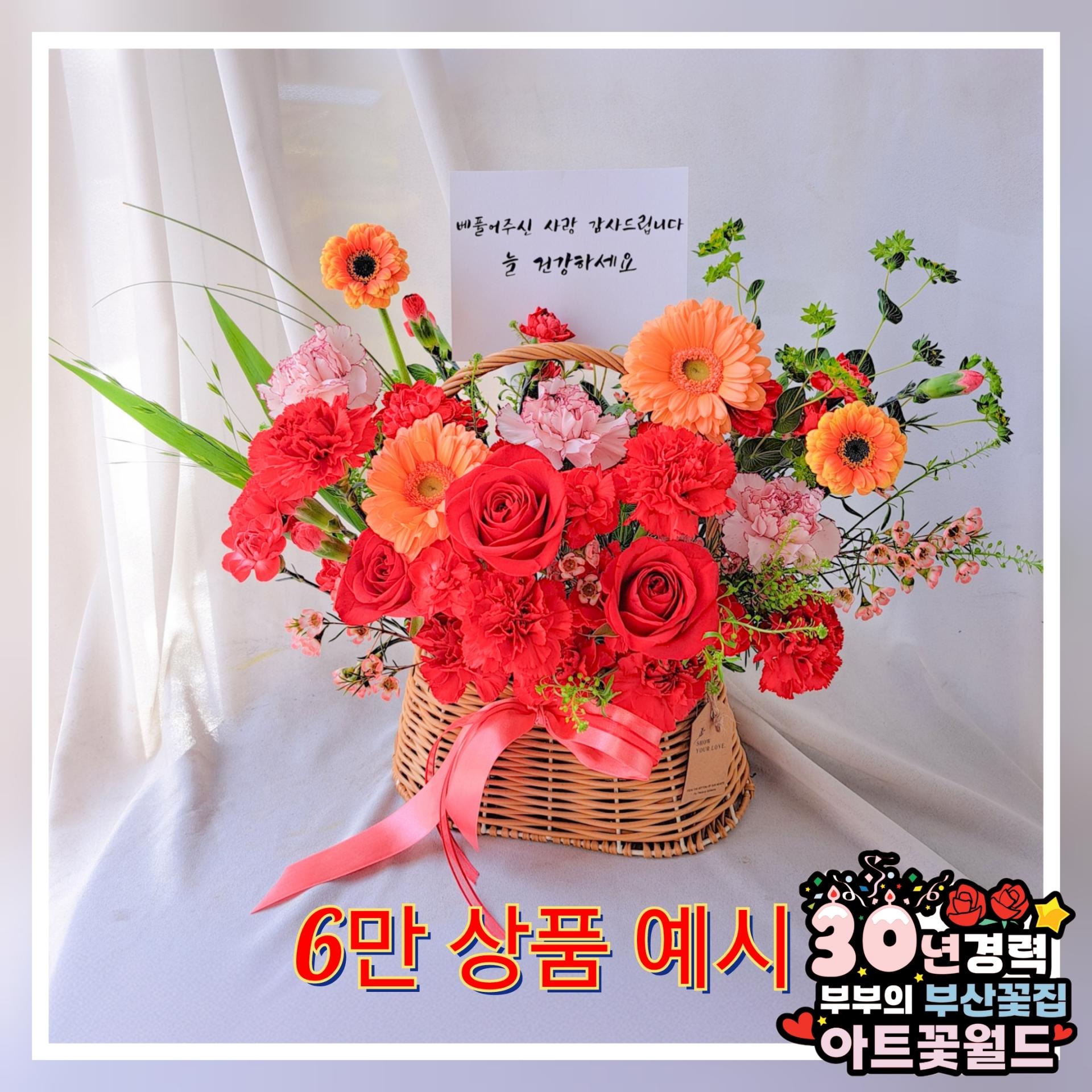 **레드 카네이션 꽃바구니** 어버이날꽃바구니 카네이션꽃바구니 부산어버이날 부산카네이션 부산꽃바구니 전국꽃바구니배송 사상꽃바구니 부산꽃집 사상꽃집 부산꽃배달 사상꽃배달 전국꽃배달서비스 전국꽃배달당일배송 부산사상꽃집 아트꽃월드