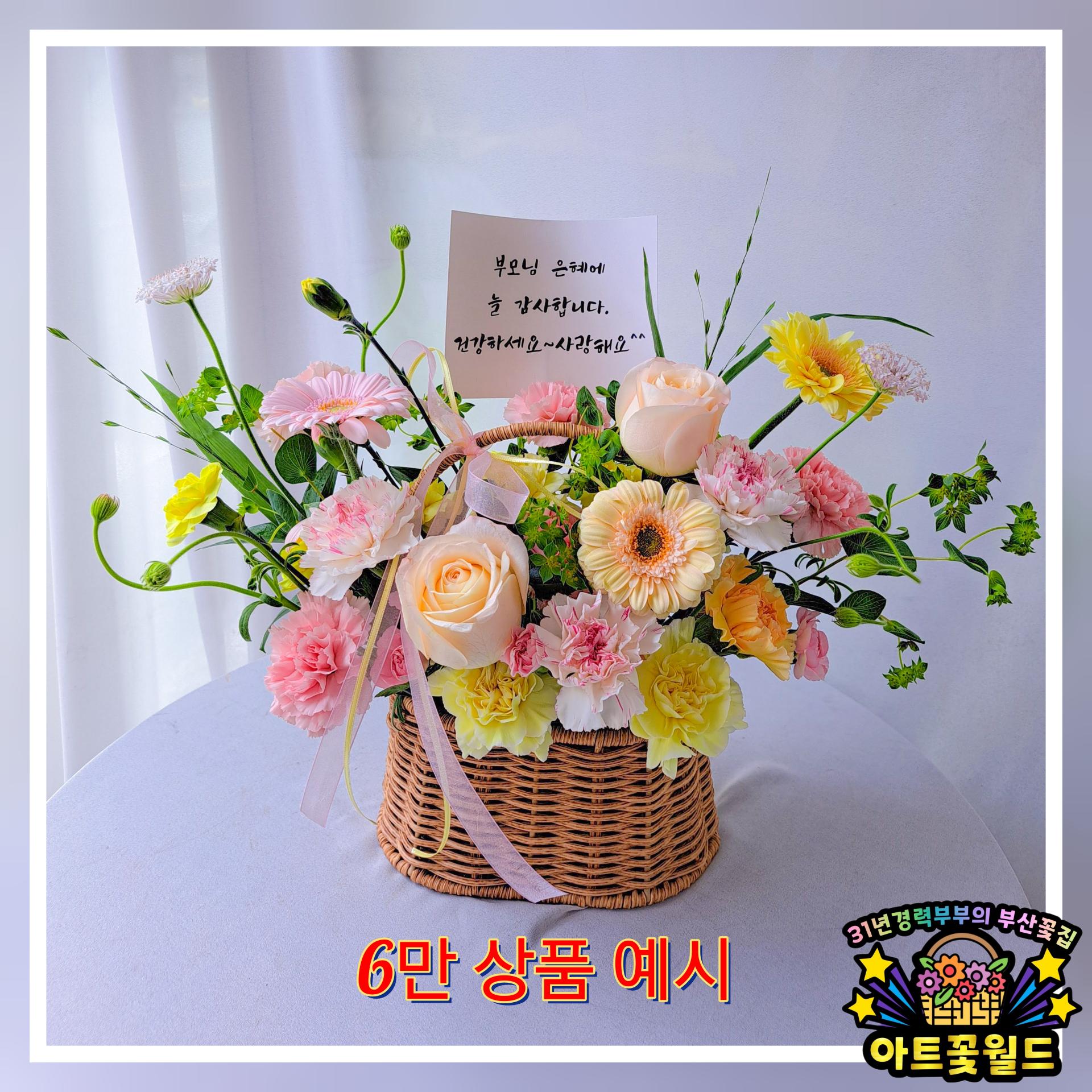 **파스텔톤 카네이션 꽃바구니** 어버이날꽃바구니 카네이션꽃바구니 부산어버이날 부산카네이션 부산꽃바구니 전국꽃바구니배송 사상꽃바구니 부산꽃집 사상꽃집 부산꽃배달 사상꽃배달 전국꽃배달서비스 전국꽃배달당일배송 부산사상꽃집 아트꽃월드