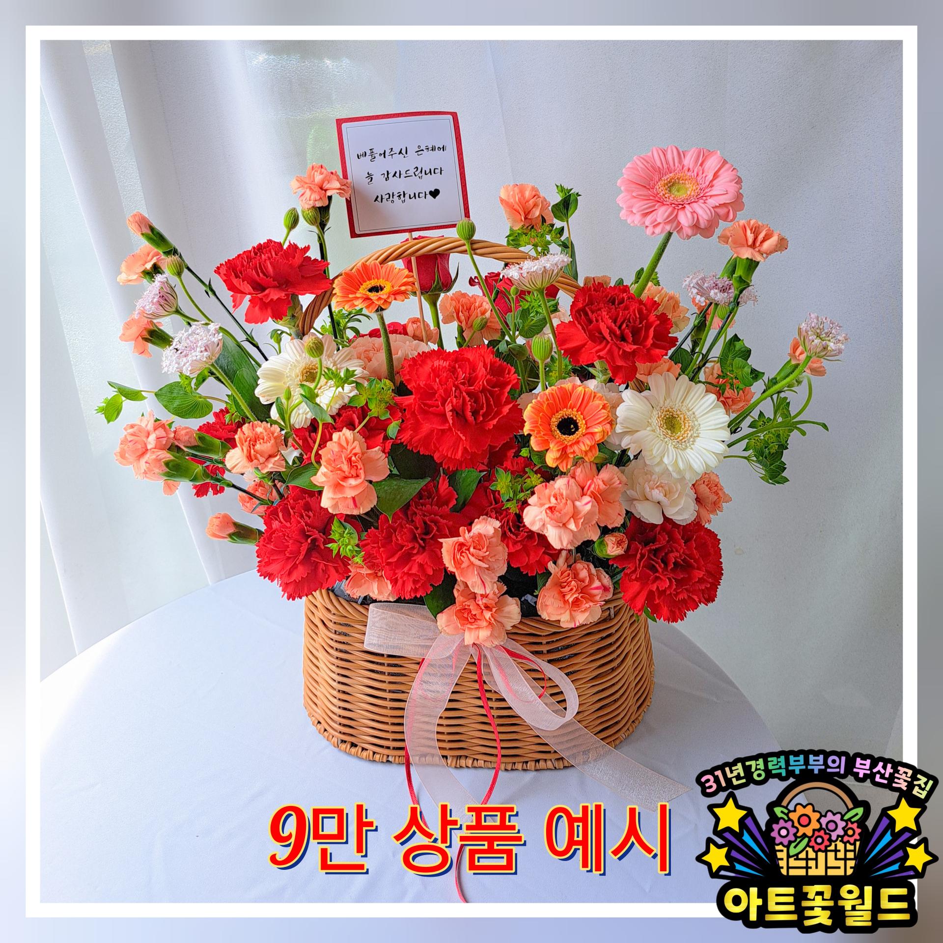 **레드 카네이션 꽃바구니** 어버이날꽃바구니 카네이션꽃바구니 부산어버이날 부산카네이션 부산꽃바구니 전국꽃바구니배송 사상꽃바구니 부산꽃집 사상꽃집 부산꽃배달 사상꽃배달 전국꽃배달서비스 전국꽃배달당일배송 부산사상꽃집 아트꽃월드
