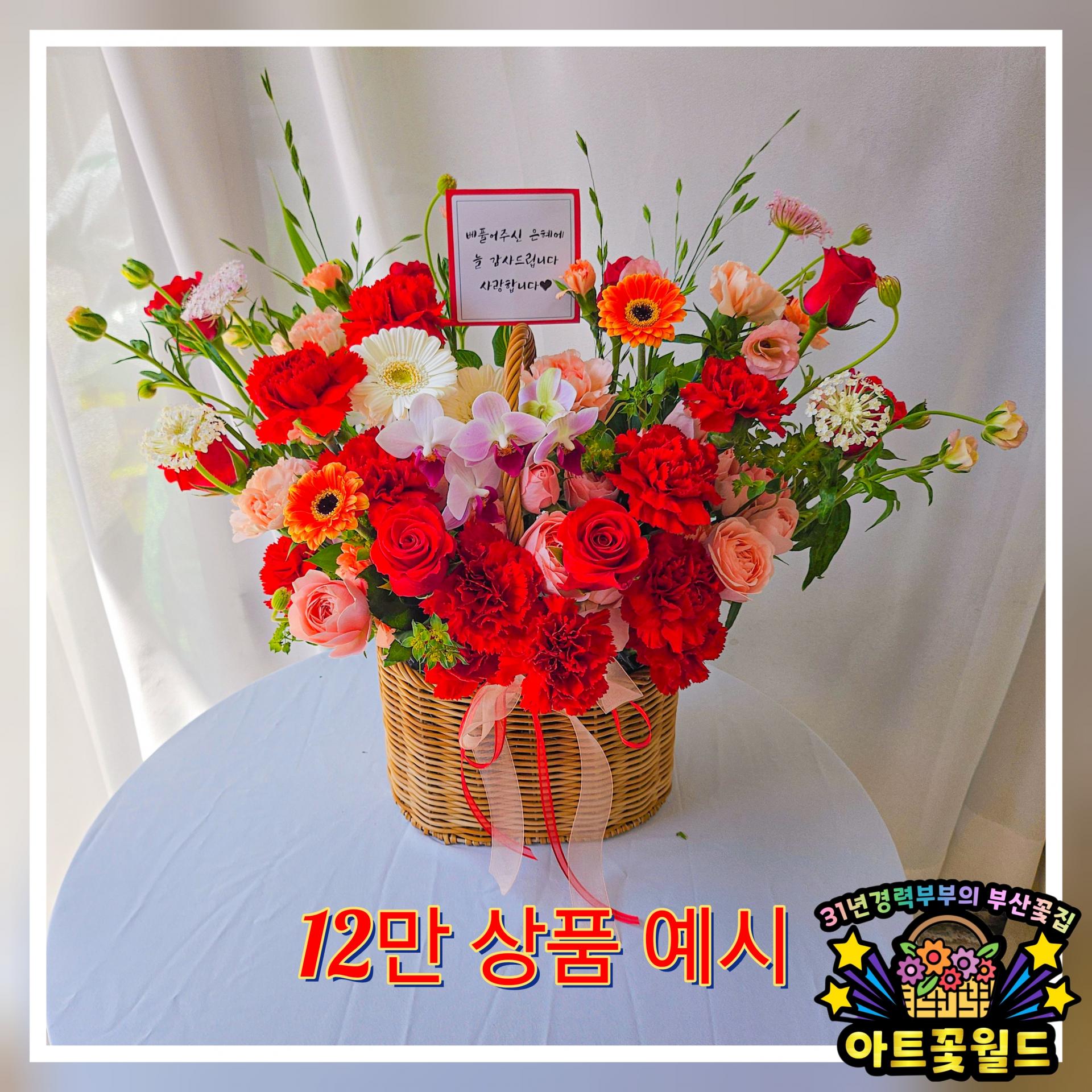 **레드 카네이션 꽃바구니** 어버이날꽃바구니 카네이션꽃바구니 부산어버이날 부산카네이션 부산꽃바구니 전국꽃바구니배송 사상꽃바구니 부산꽃집 사상꽃집 부산꽃배달 사상꽃배달 전국꽃배달서비스 전국꽃배달당일배송 부산사상꽃집 아트꽃월드