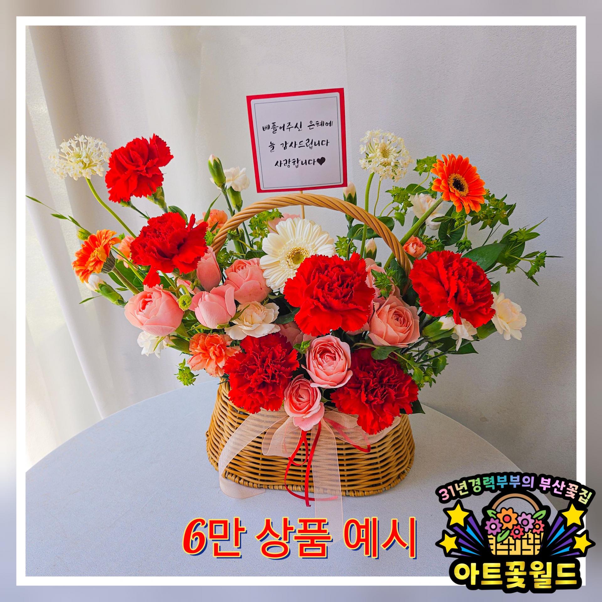 **레드 카네이션 꽃바구니** 어버이날꽃바구니 카네이션꽃바구니 부산어버이날 부산카네이션 부산꽃바구니 전국꽃바구니배송 사상꽃바구니 부산꽃집 사상꽃집 부산꽃배달 사상꽃배달 전국꽃배달서비스 전국꽃배달당일배송 부산사상꽃집 아트꽃월드