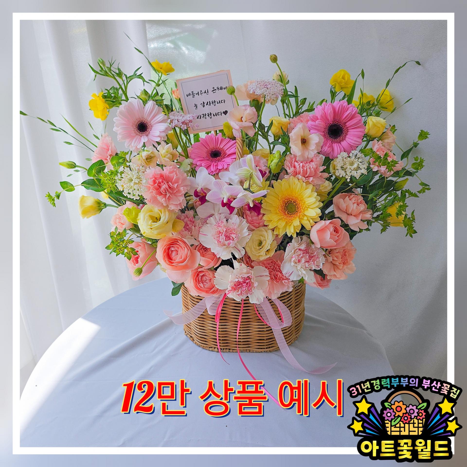 **파스텔톤 카네이션 꽃바구니** 어버이날꽃바구니 카네이션꽃바구니 부산어버이날 부산카네이션 부산꽃바구니 전국꽃바구니배송 사상꽃바구니 부산꽃집 사상꽃집 부산꽃배달 사상꽃배달 전국꽃배달서비스 전국꽃배달당일배송 부산사상꽃집 아트꽃월드