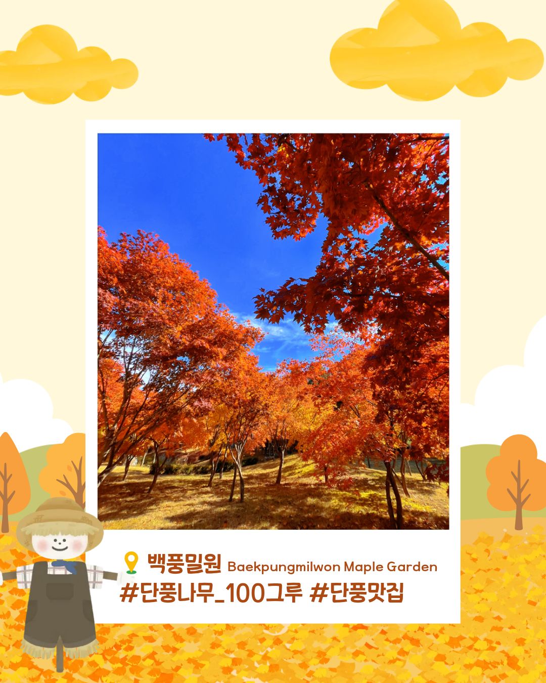 7975bf91914fe.jpg