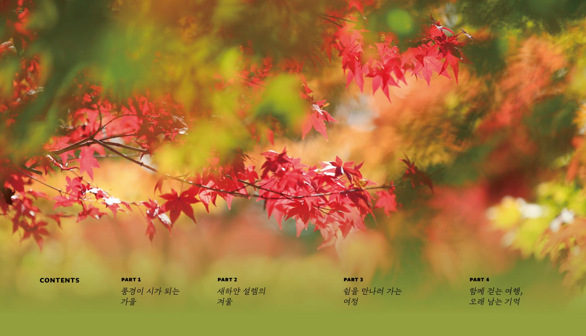 97d9c6355ed20.jpg