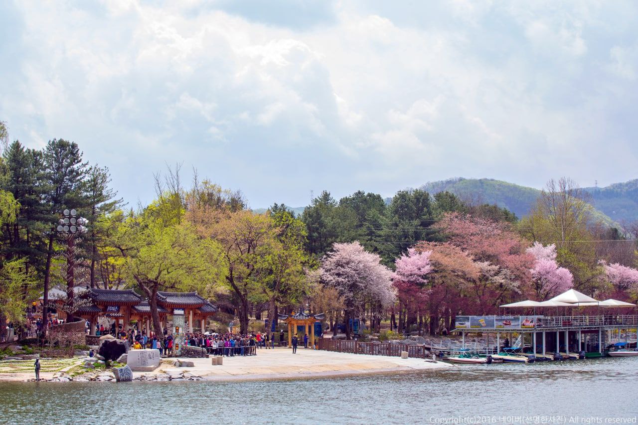 d780a9da734c1.jpg