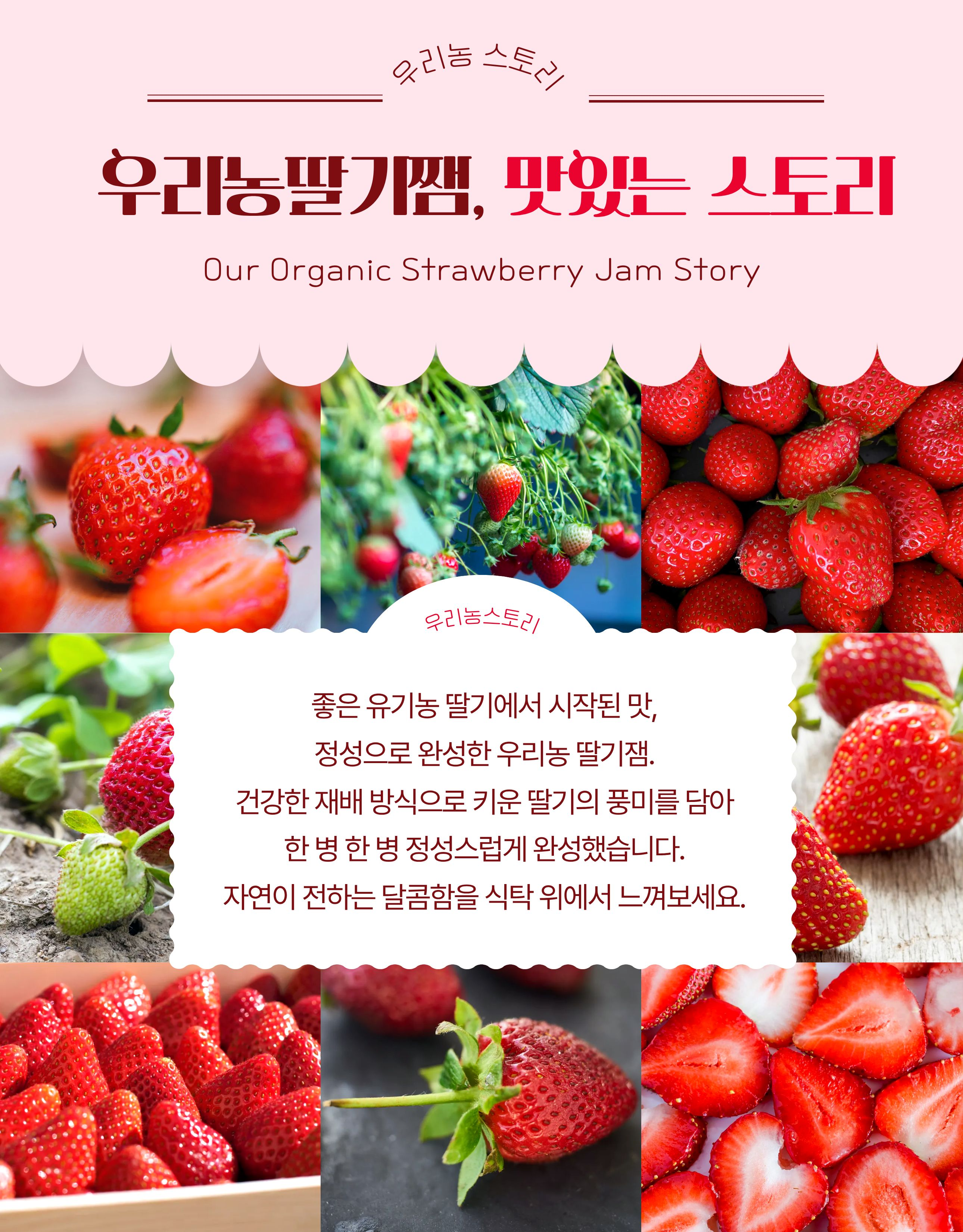 유기농딸기잼(안동)600g