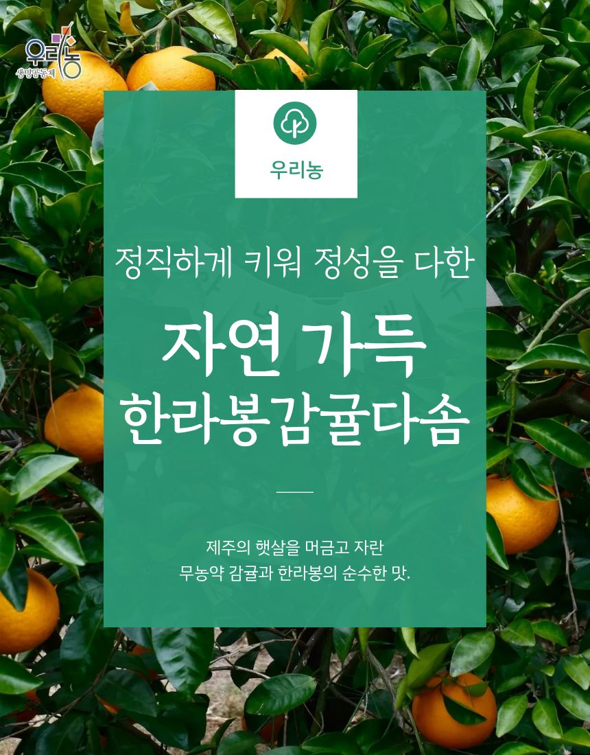 한라봉 감귤다솜 125ml*14ea