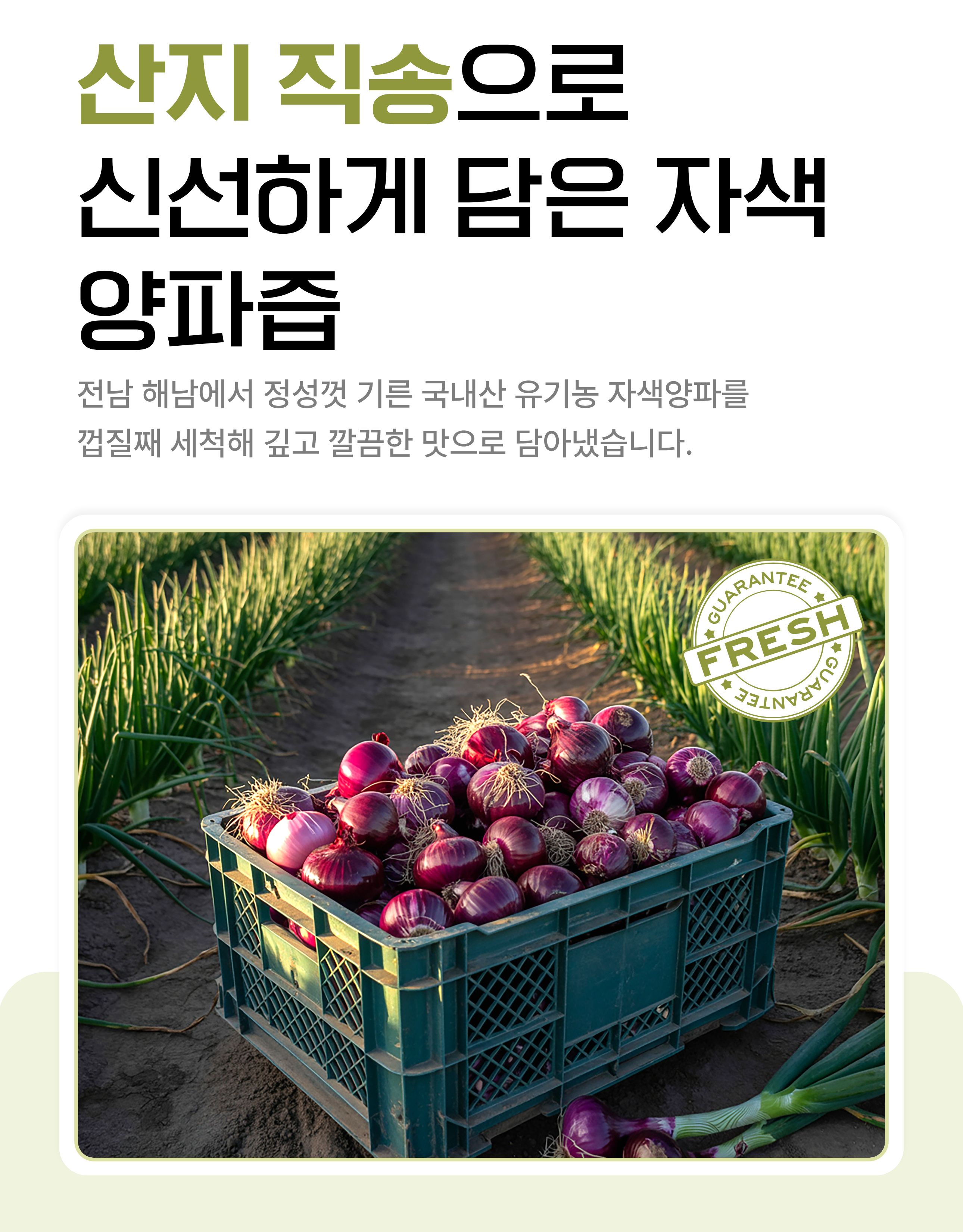 자색양파즙