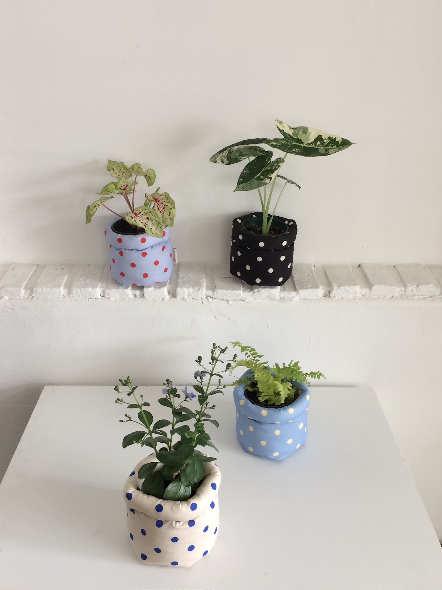화분커버 인테리어 소품 패브릭 팟커버 르플팟 LE FLE POT Summer Collection