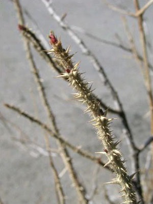 099d1432e6406.jpg
