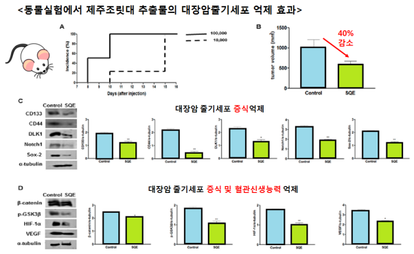 3642e769d5858.png