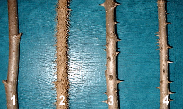 85ada953be02f.png