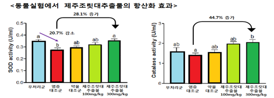 a40557dd4876a.png
