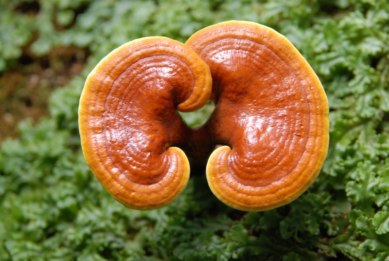 b01d7487cce39.jpg