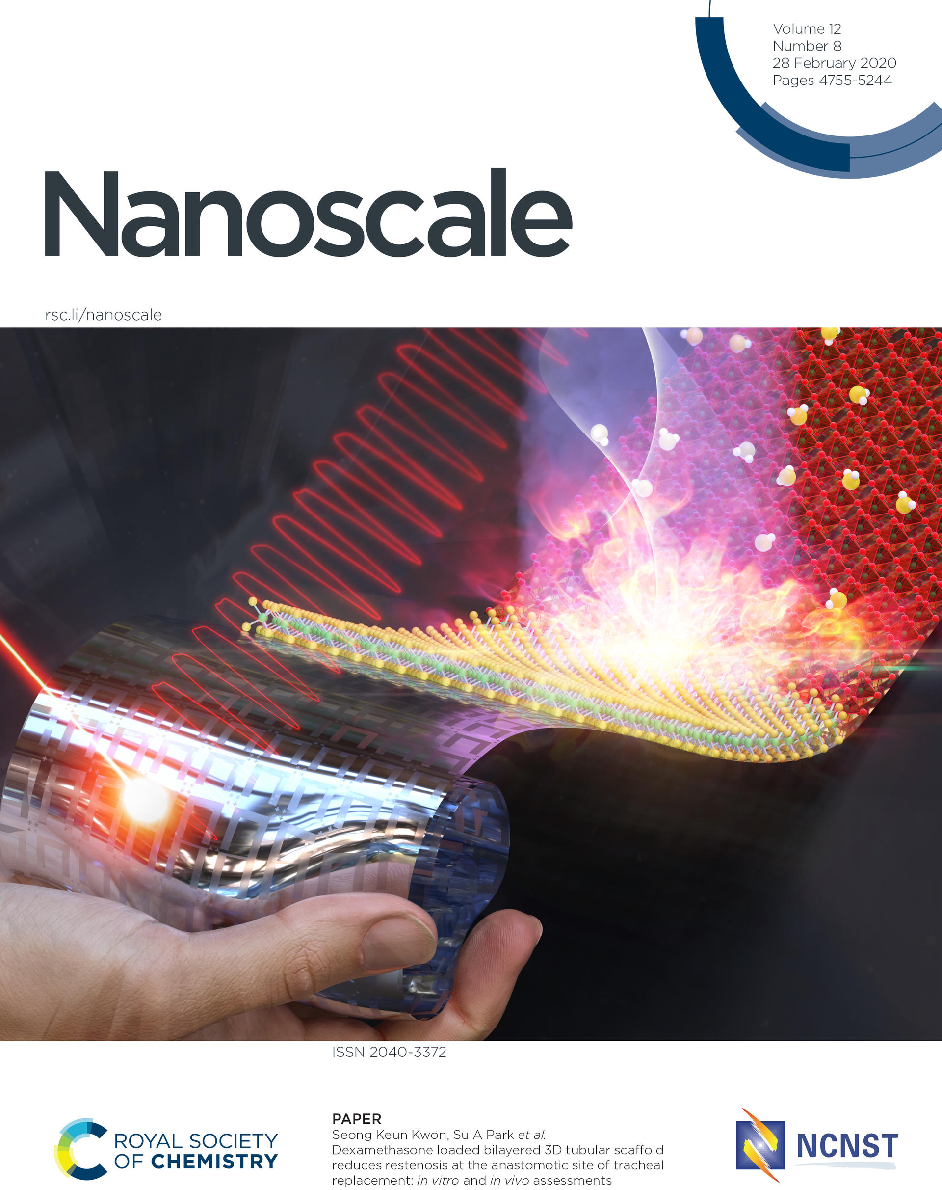 Ultraflexible and rollable 2DMoS2/Si heterojunctionbased near